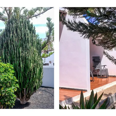 Abora - 500m To The By Lanzarote アパート *